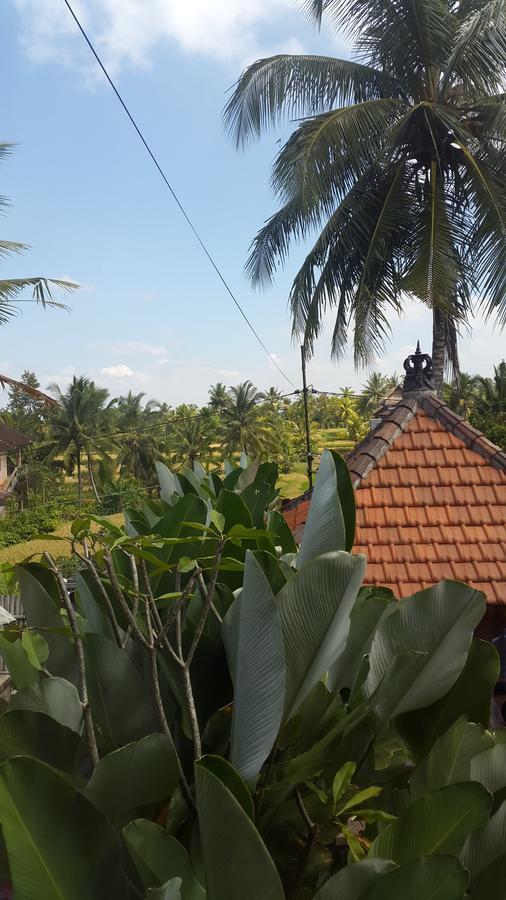 Villa Bungsil Gading ウブド エクステリア 写真