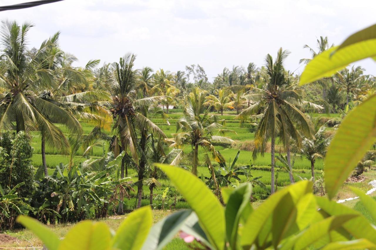 Villa Bungsil Gading ウブド エクステリア 写真